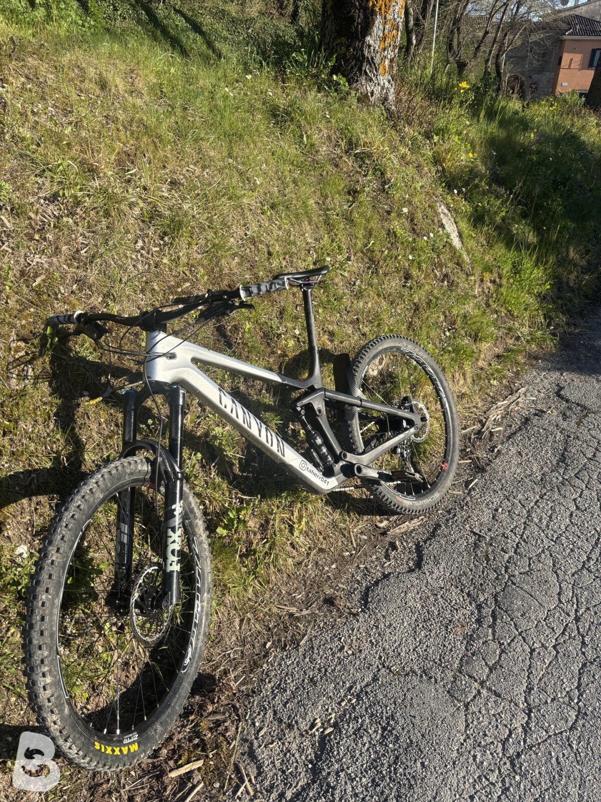 Canyon strive cfr underdog 2024