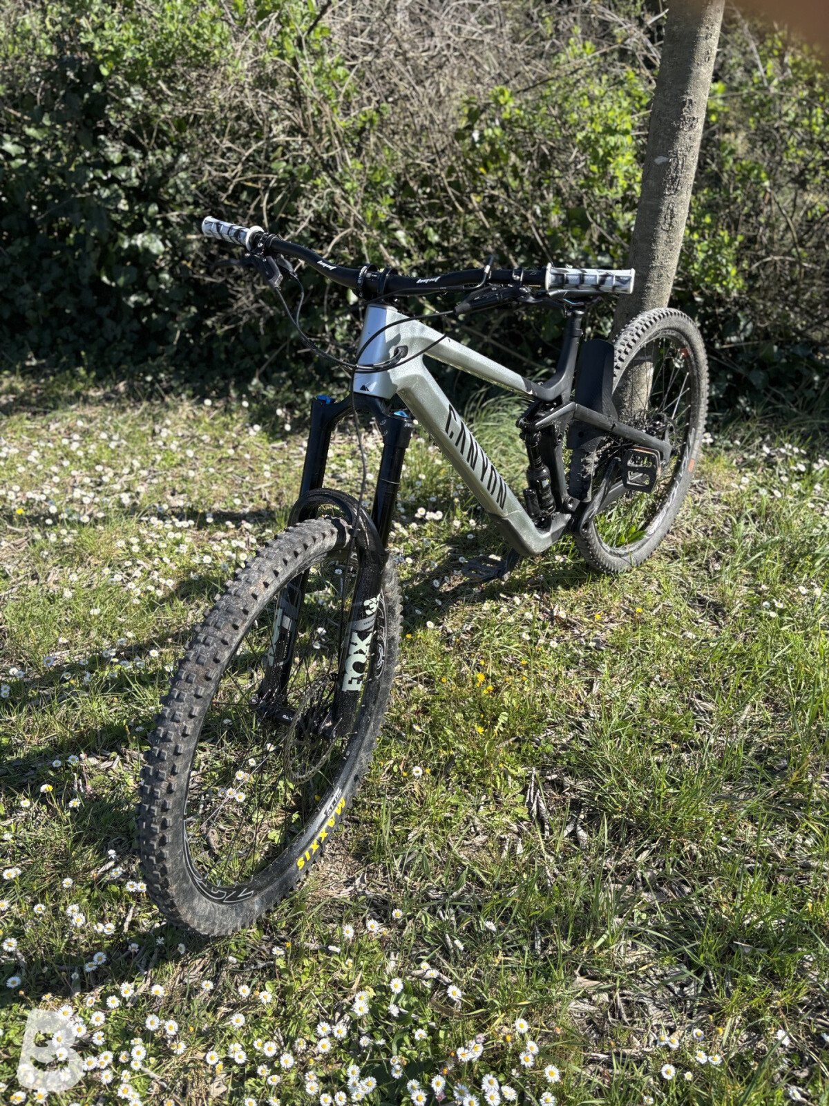 Canyon strive cfr underdog 2024