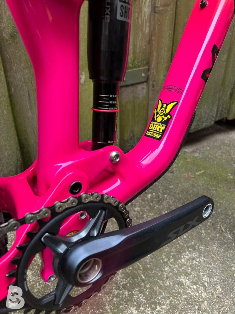 Marin Alpine Trail Fun Carbon 2026