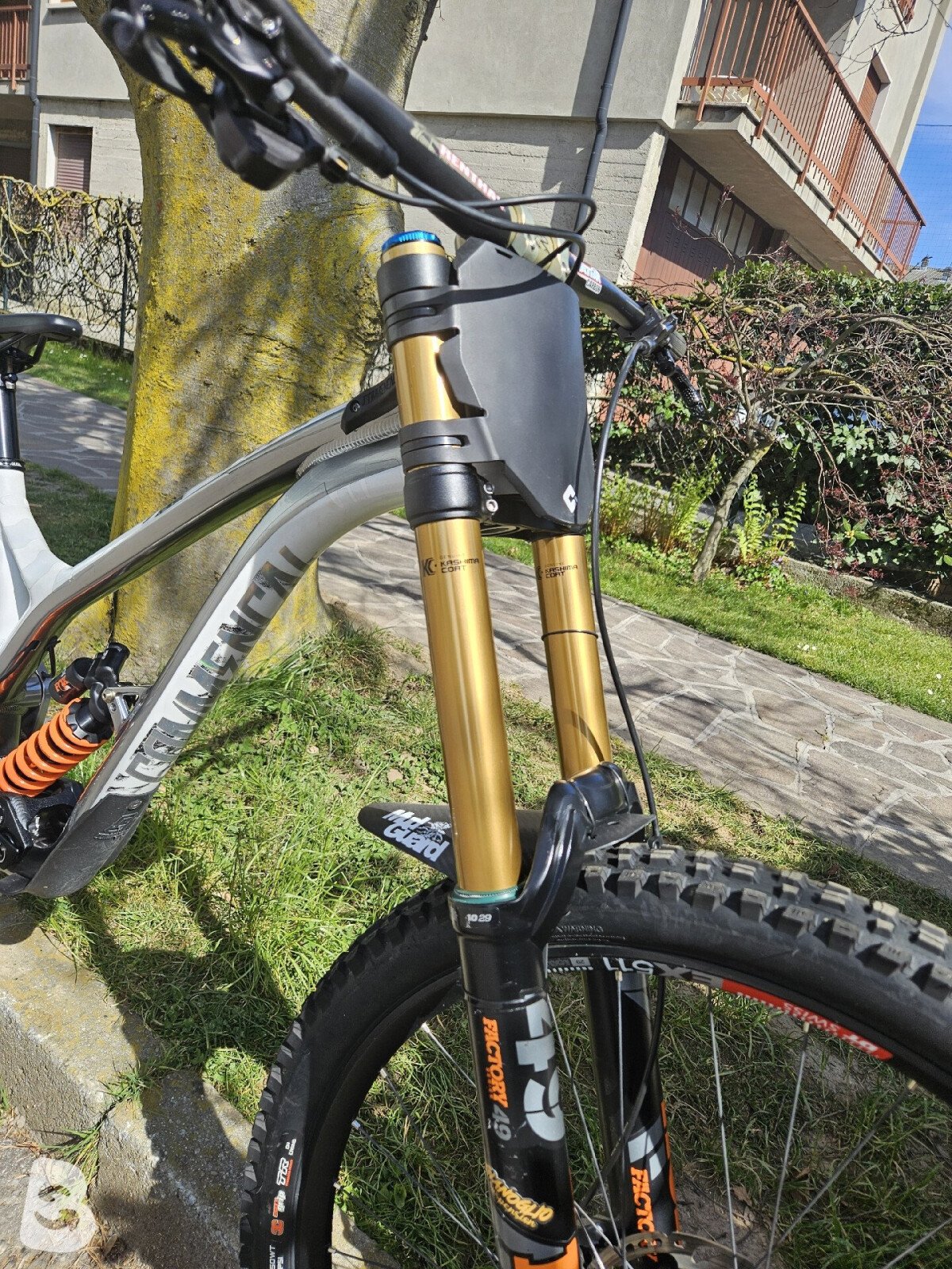 Commencal Supreme DH Worlds Edition 2021