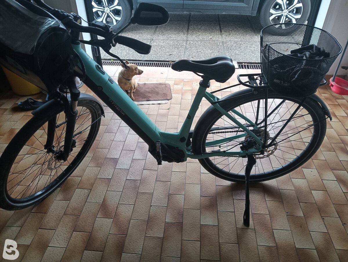 Bianchi T-Tronik C-Type 2021