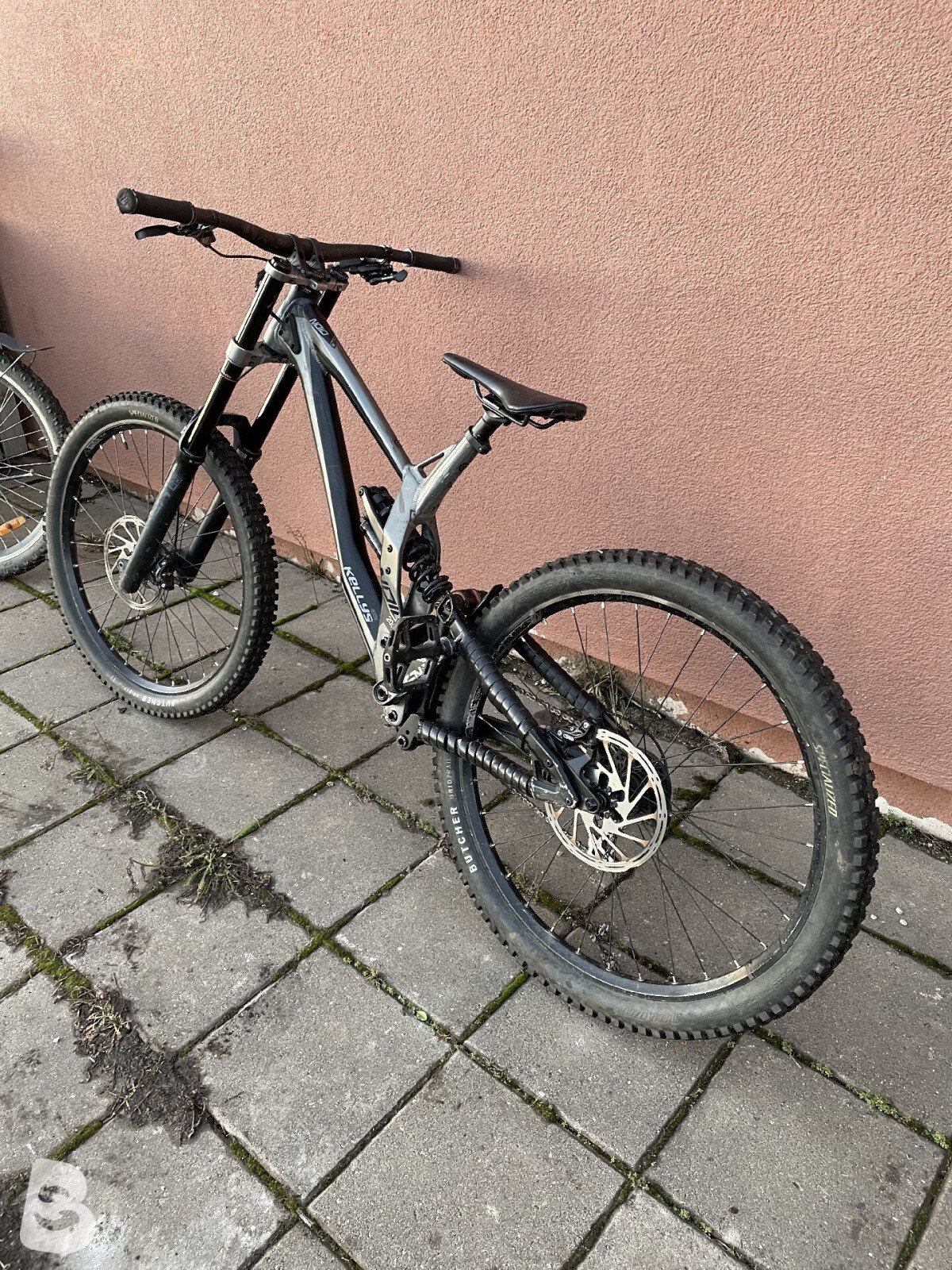 Kellys Noid 70 2022