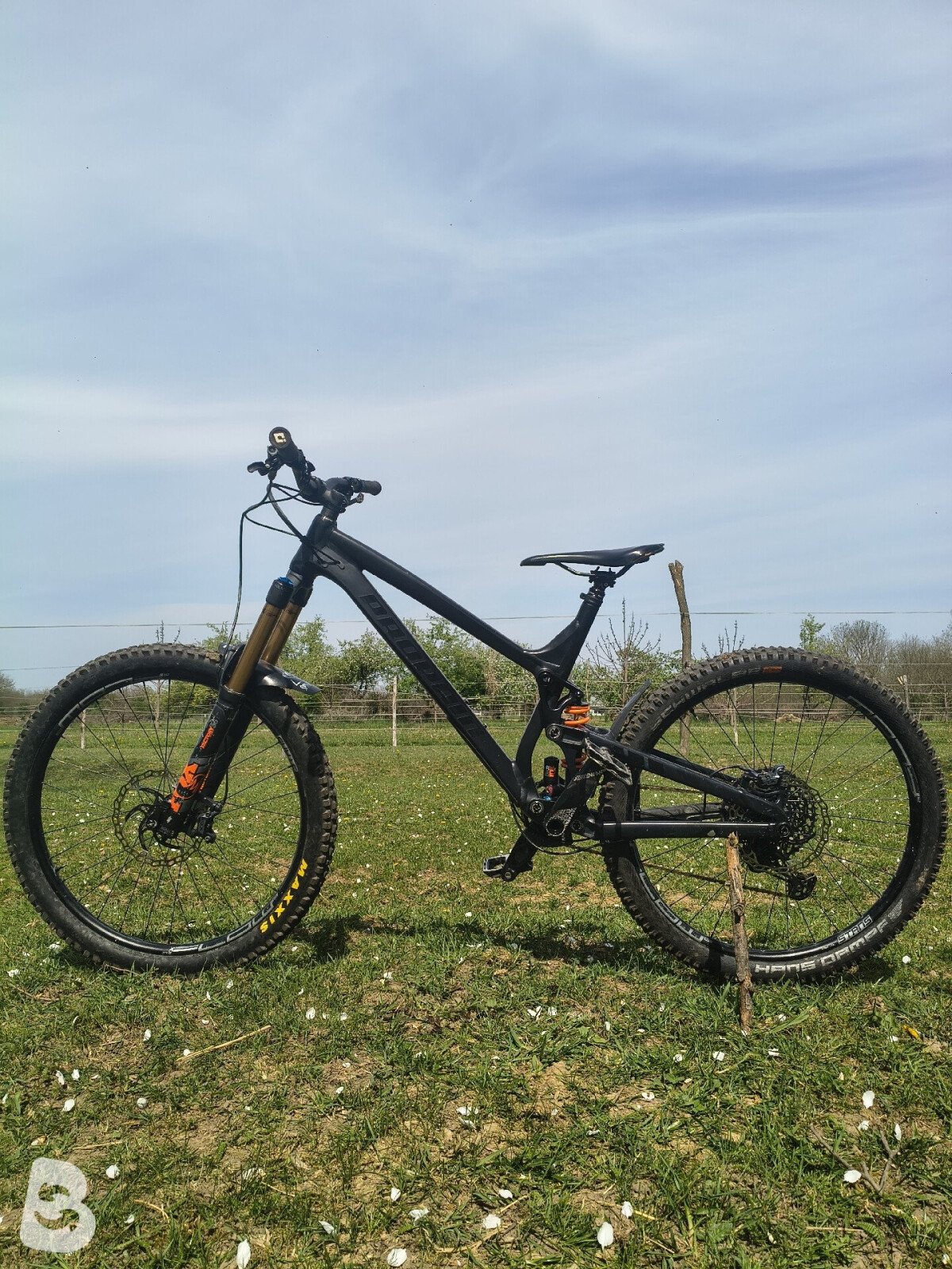 Propain Spindrift High End 2019