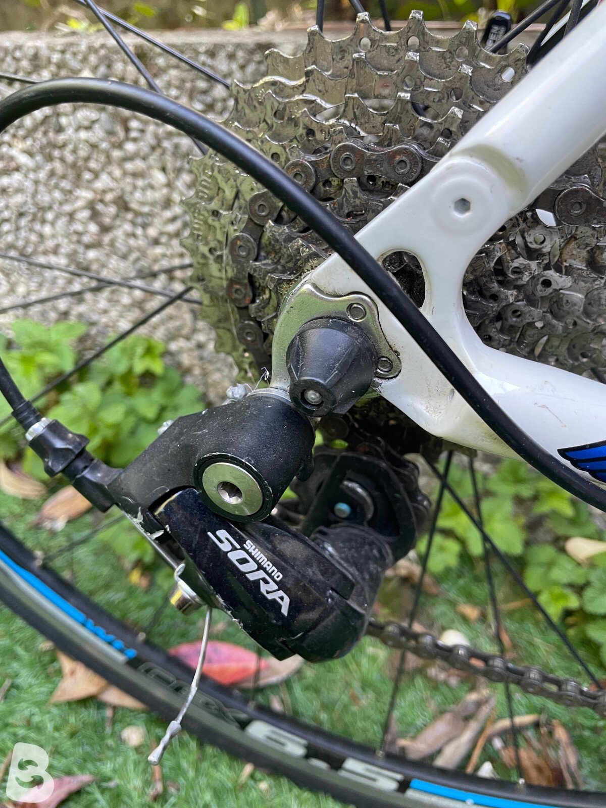 Cinelli Saetta