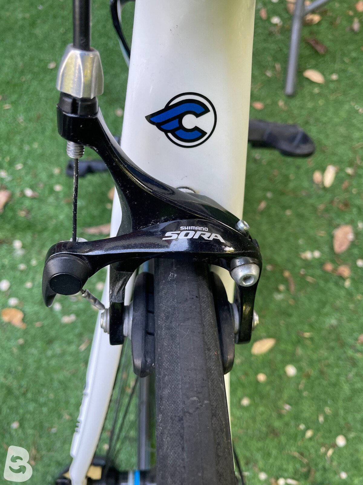 Cinelli Saetta