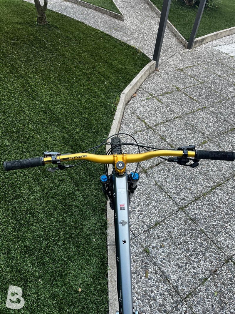 Transition Sentinel Alloy NX 2024