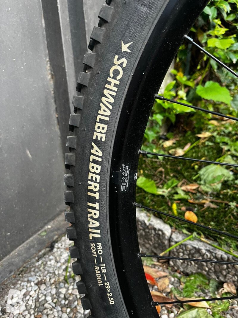 Transition Sentinel Alloy NX 2024