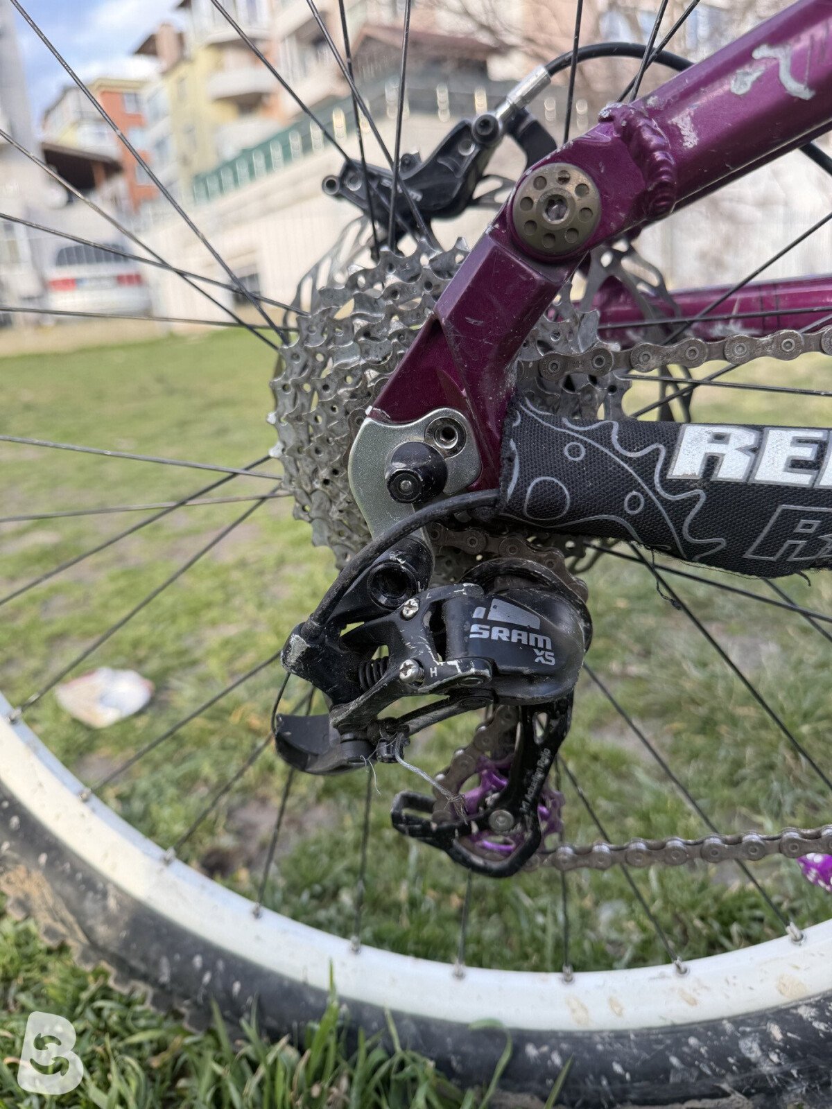 Scott Contessa 2015