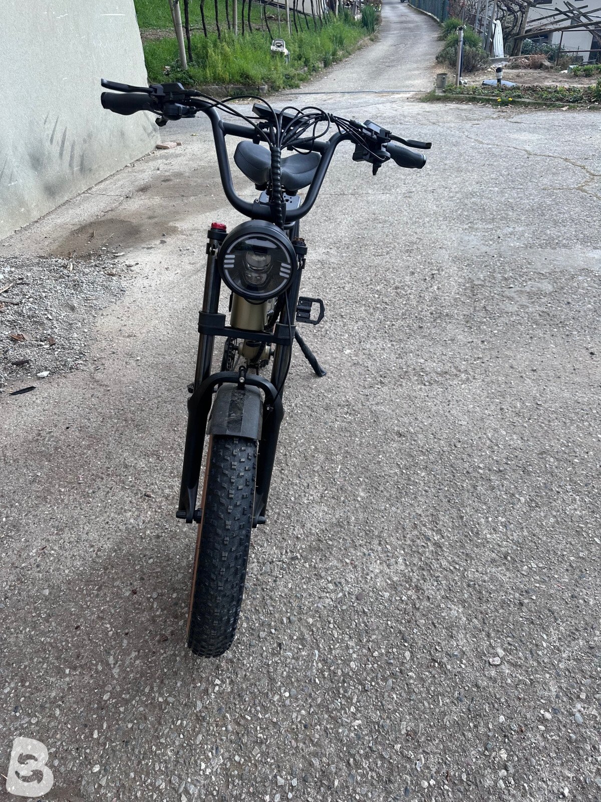 Checker Pig Cuy bike 2024
