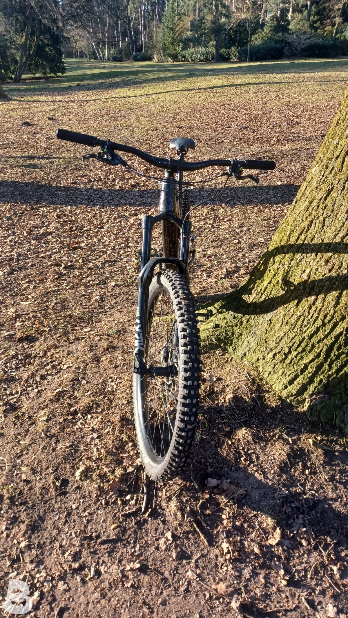 Propain Tyee CF 2020