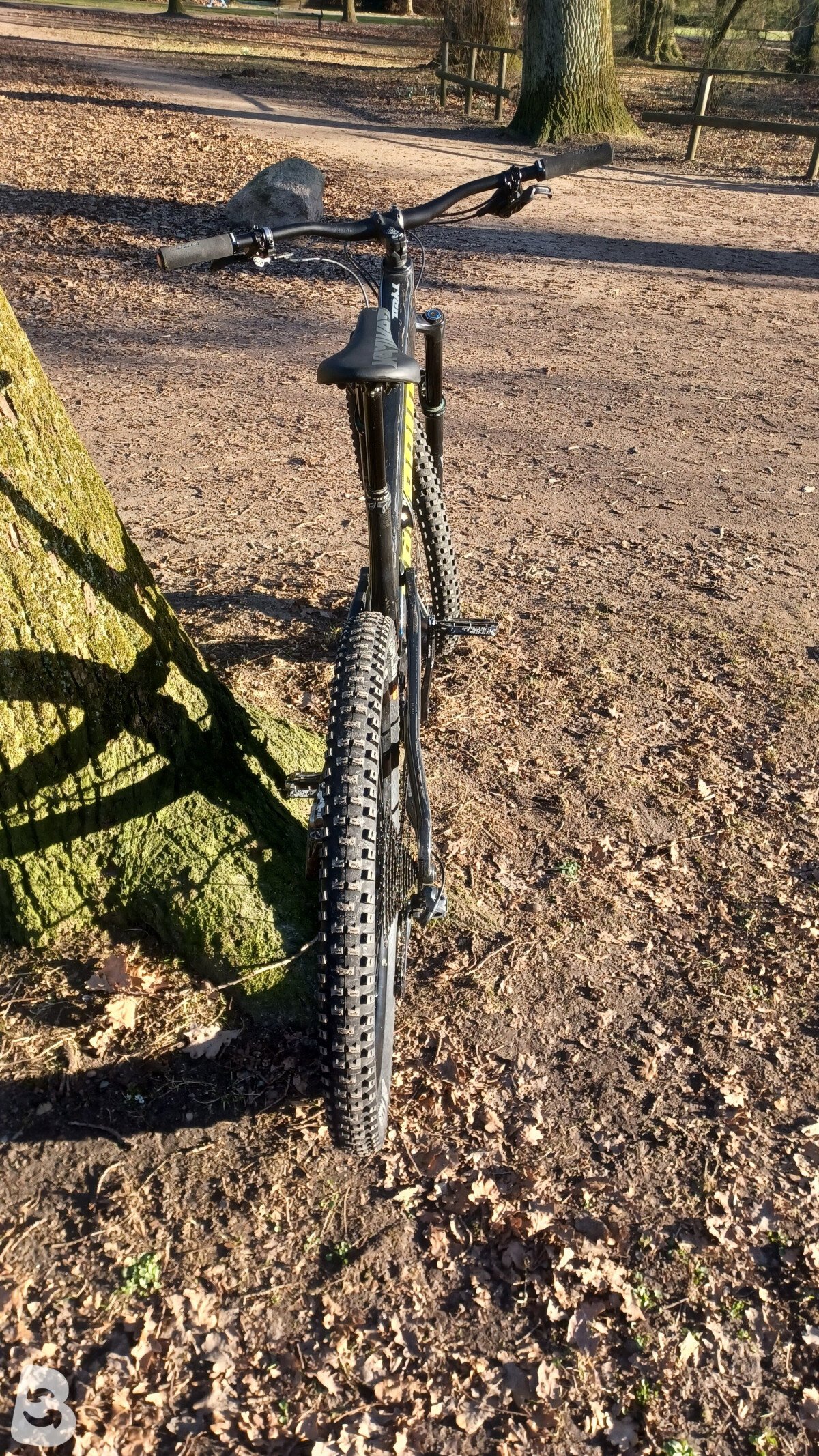 Propain Tyee CF 2020