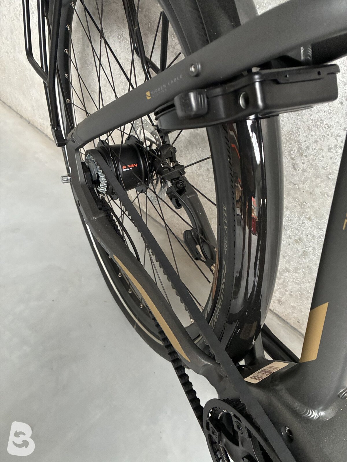 Gepida Bonum Belt Nexus 8 Chain 2025