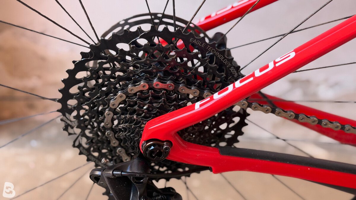 Focus Raven 8.8 2019