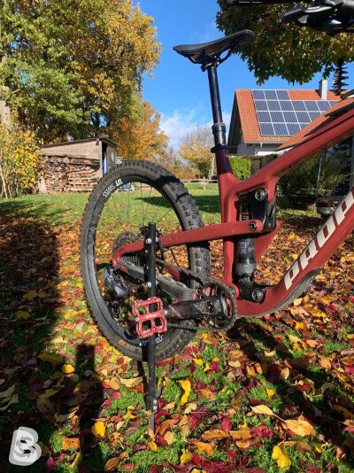 Propain Tyee CF Start 2021