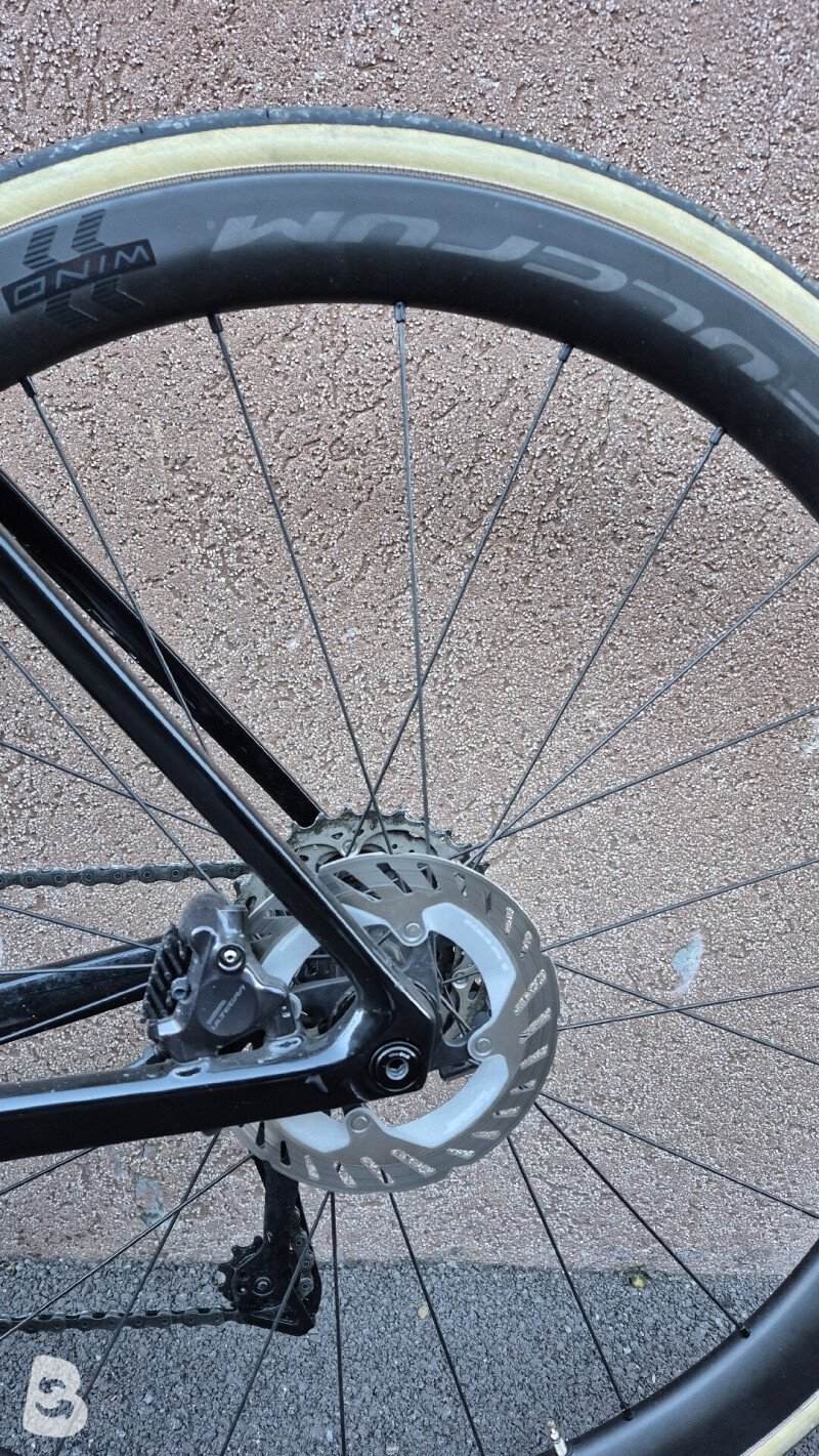 Colnago V4rs 2024