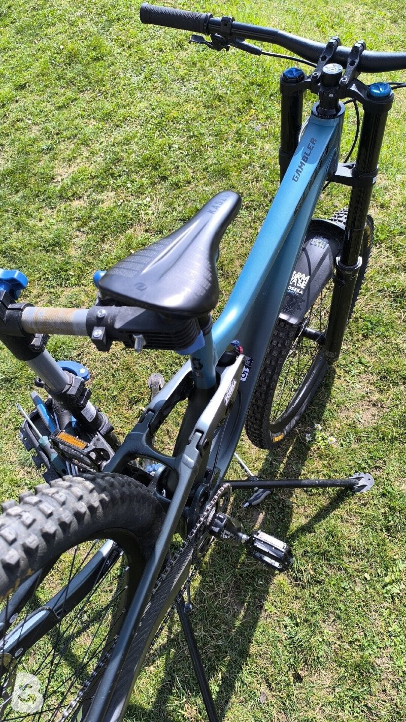 Scott Gambler 2024