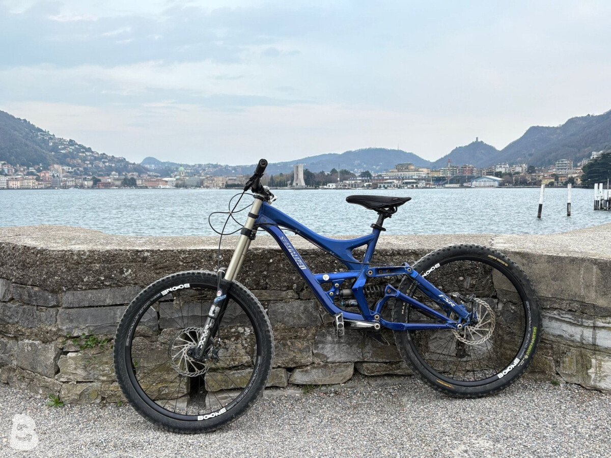 Specialized Demo 2009