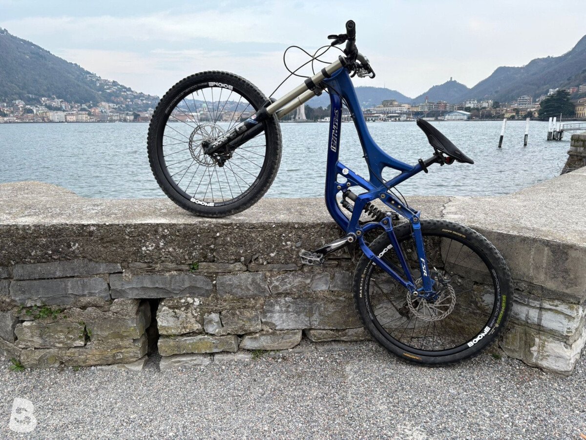 Specialized Demo 2009