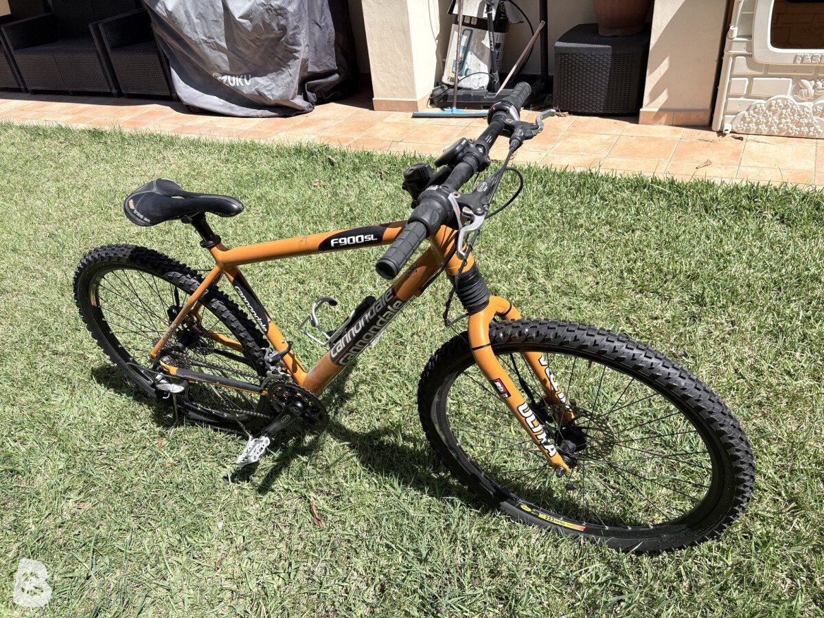 Cannondale F900 SL 2001