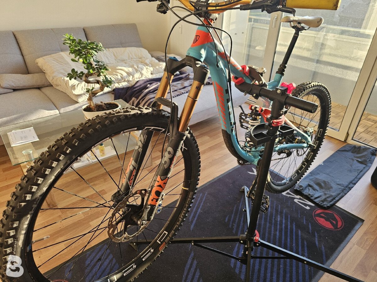 Trek Remedy 2015