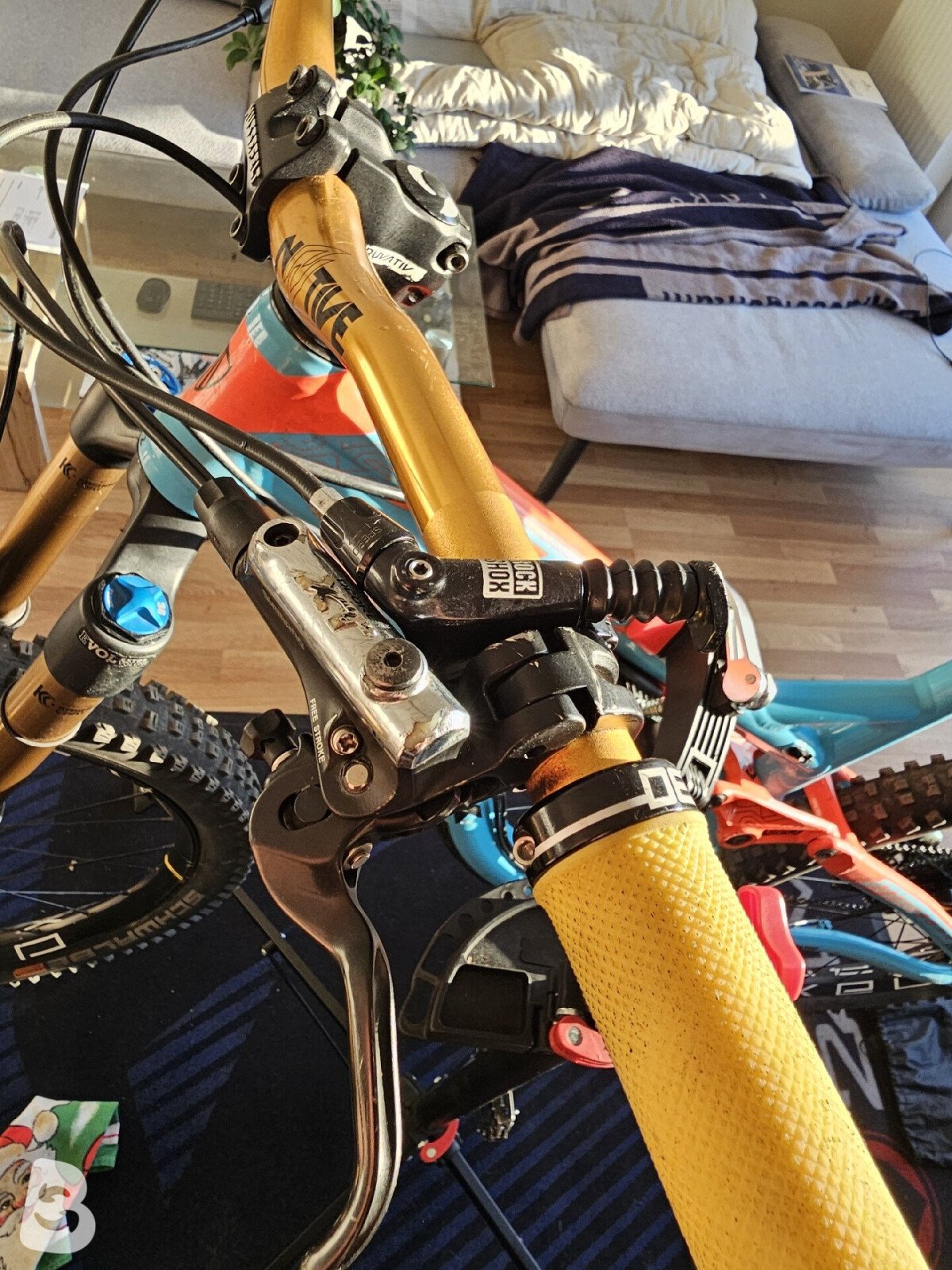 Trek Remedy 2015