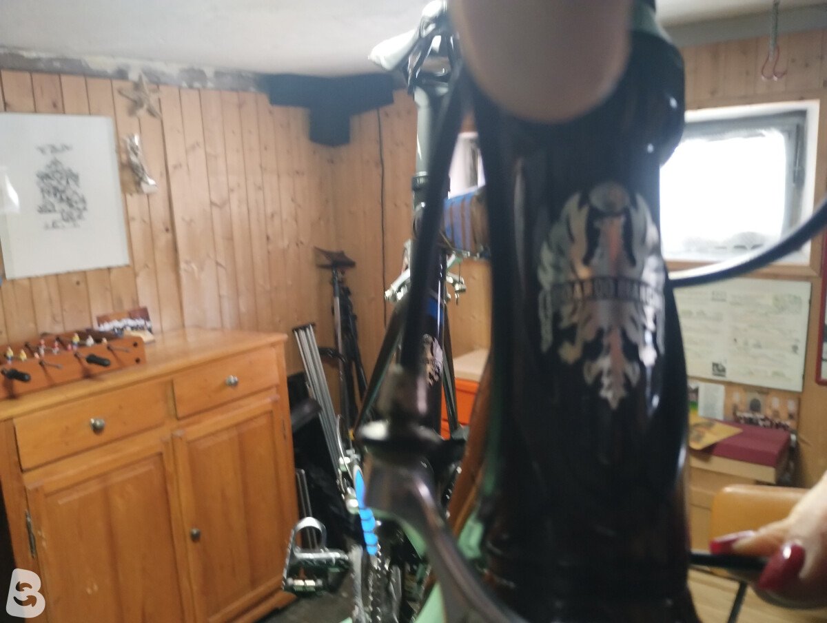 Bianchi 928 carbon 2007