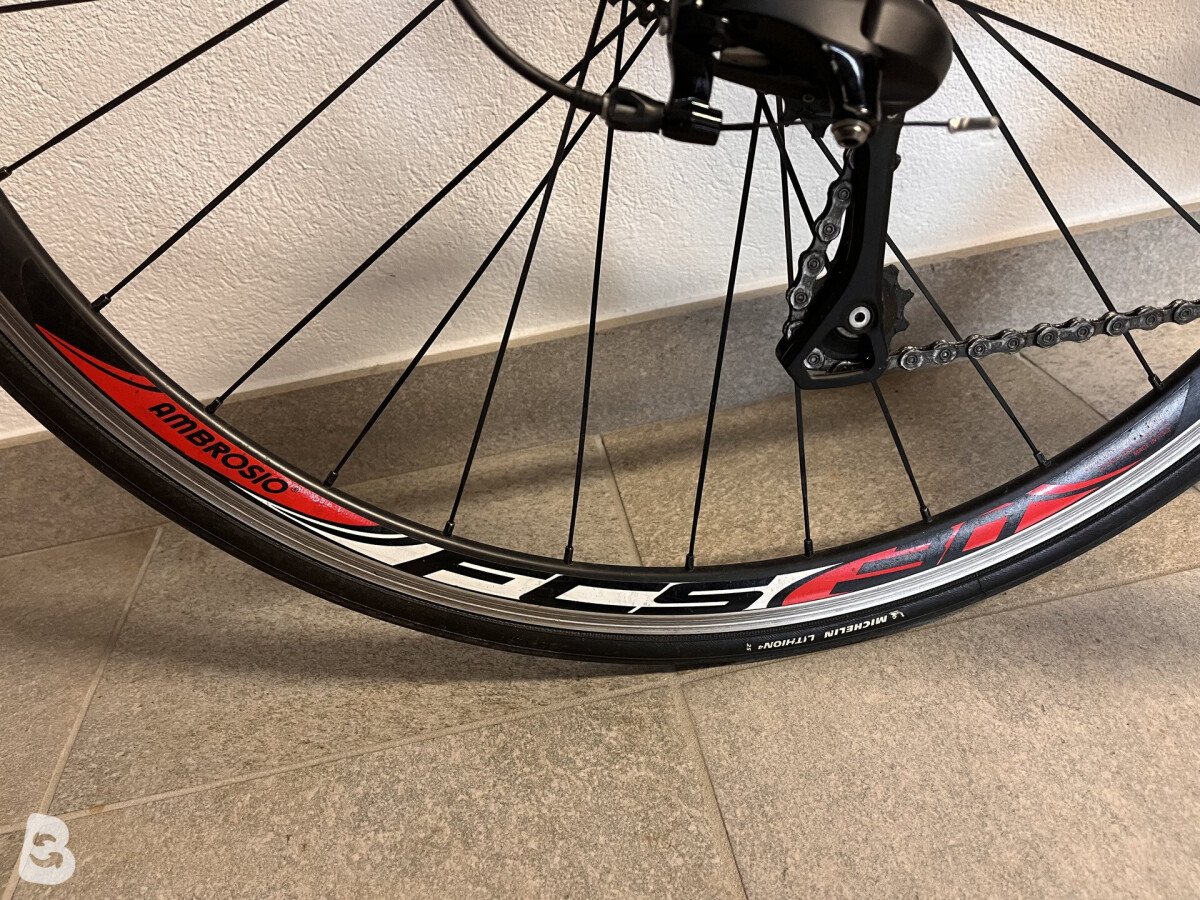 Fondriest TF3 1.2 2019