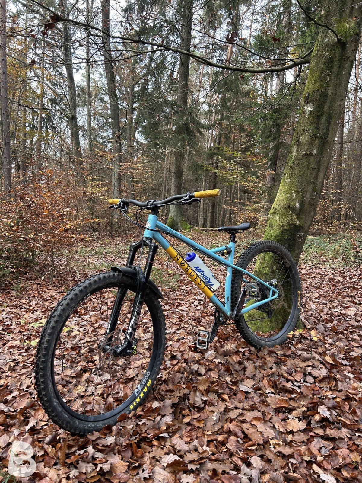Nordest Bardino 2 2022