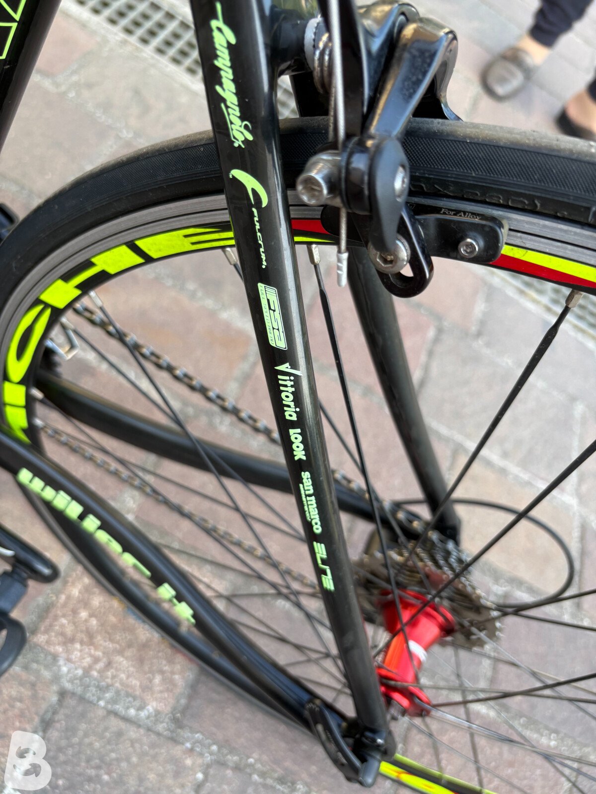 Wilier triestina