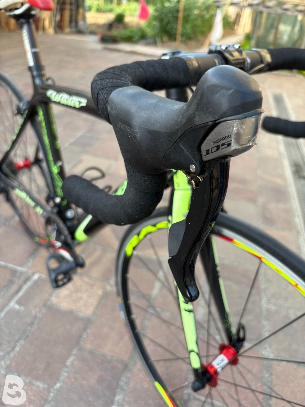 Wilier triestina