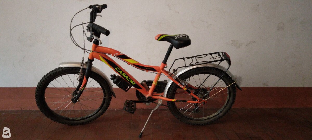 Casadei Vx 2021