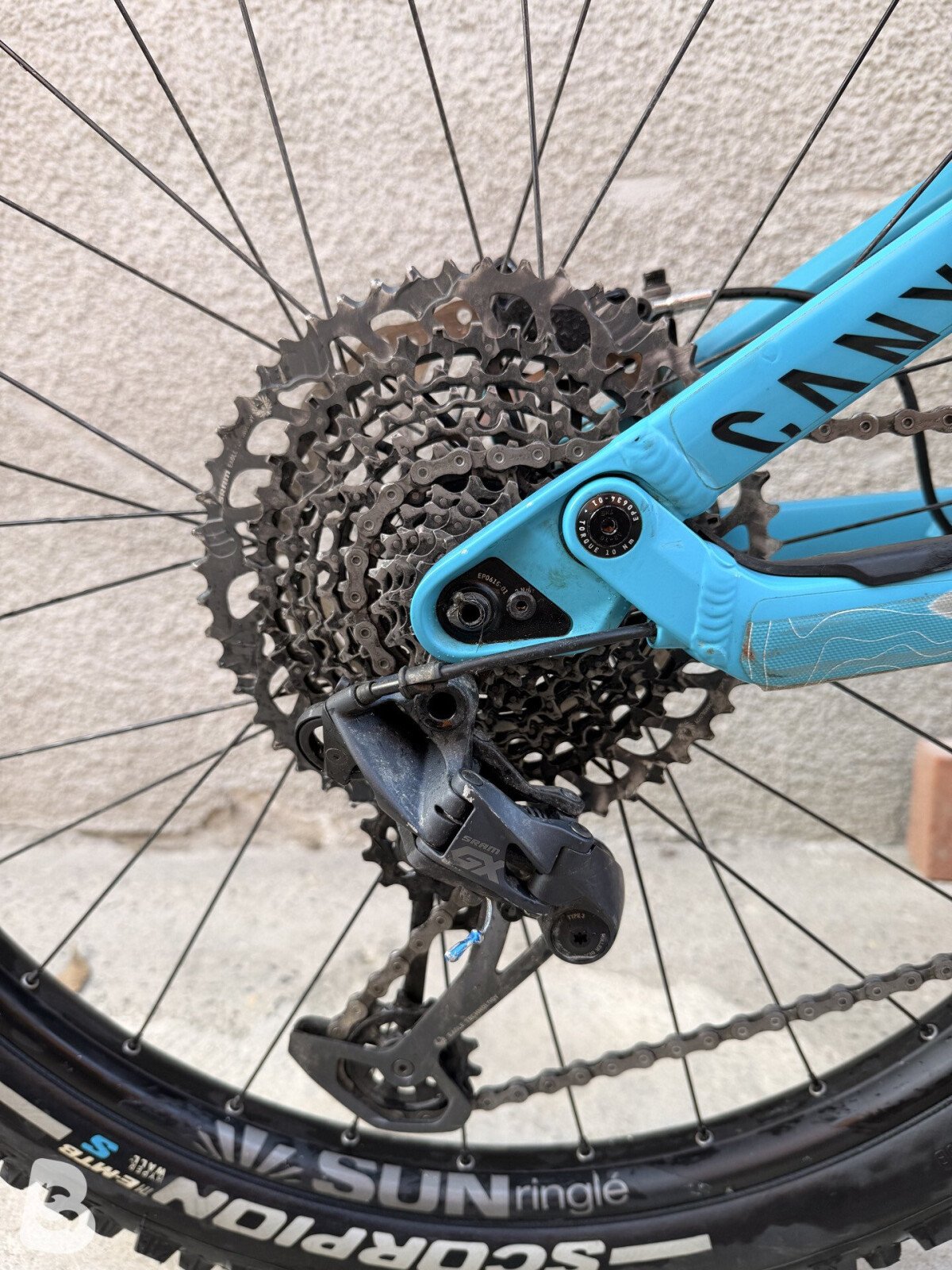Canyon Torque AL 5.0 2019