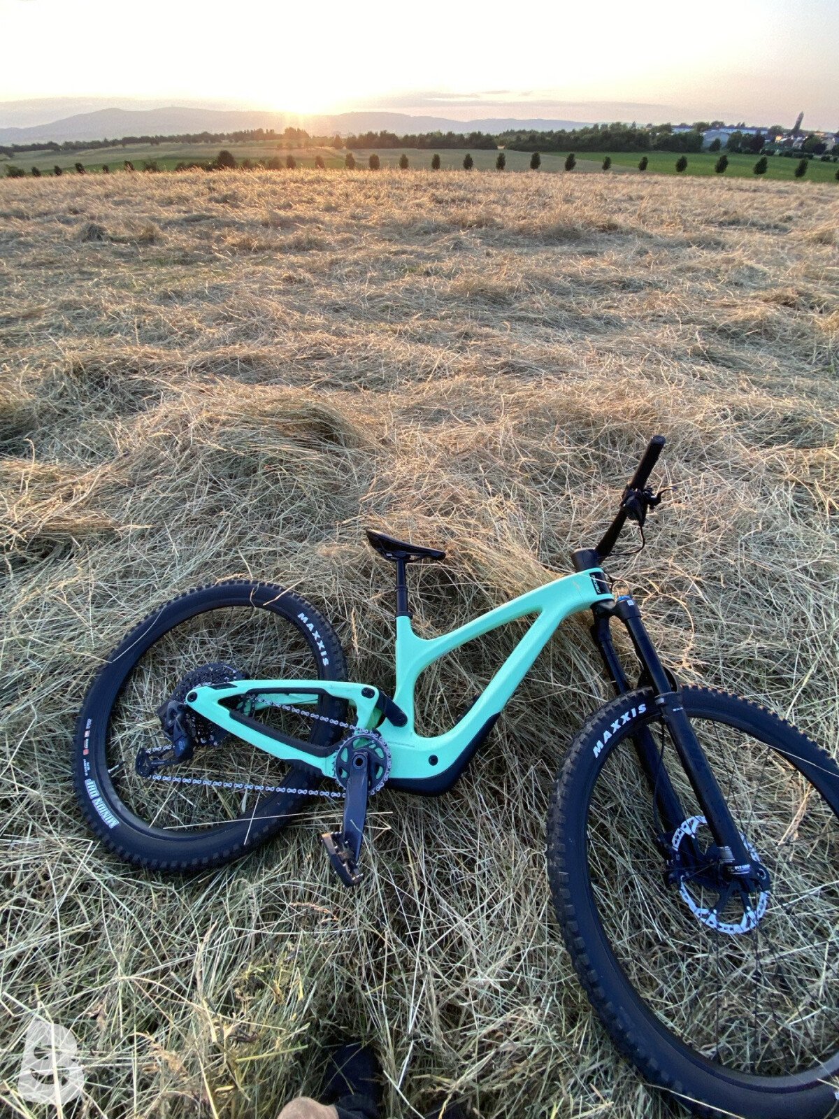 Bold Unplugged Pro 2023