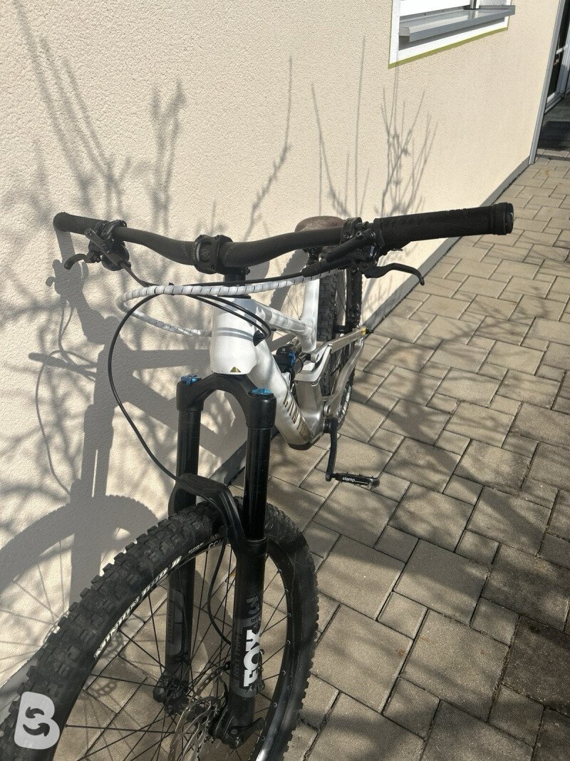 Canyon Torque CF 8.0 2021