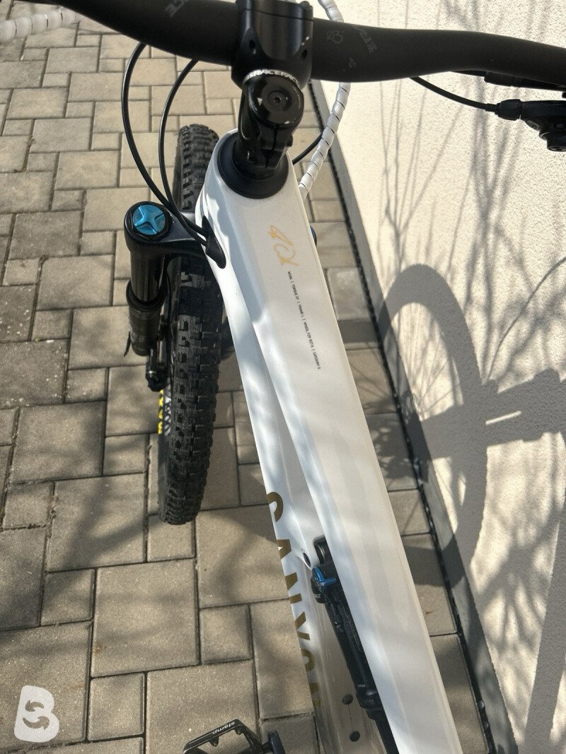 Canyon Torque CF 8.0 2021