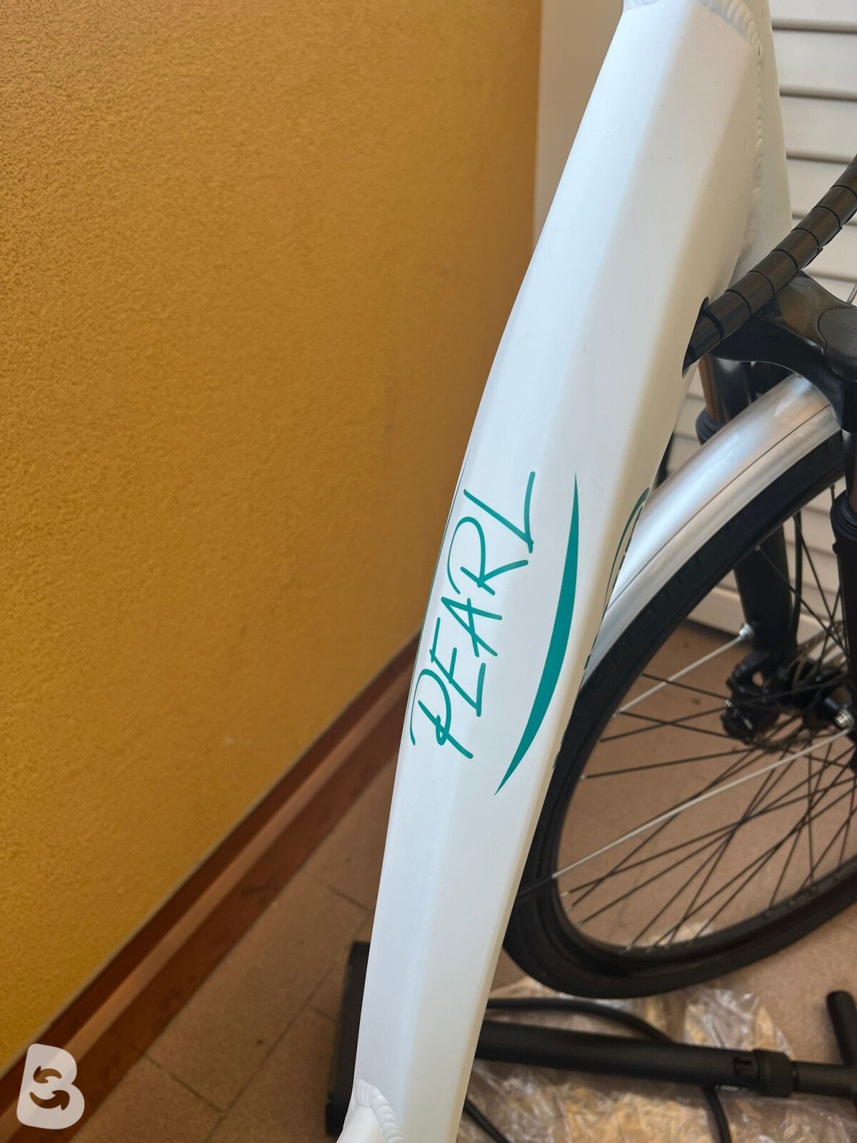 Italwin Pearl 2021