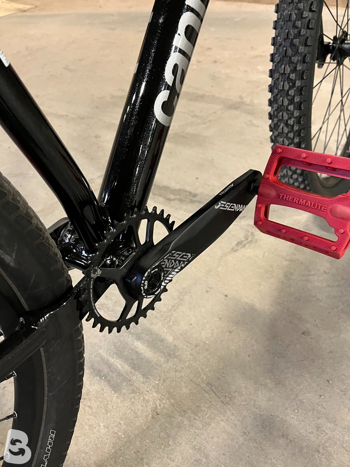 Cannondale dave 2025