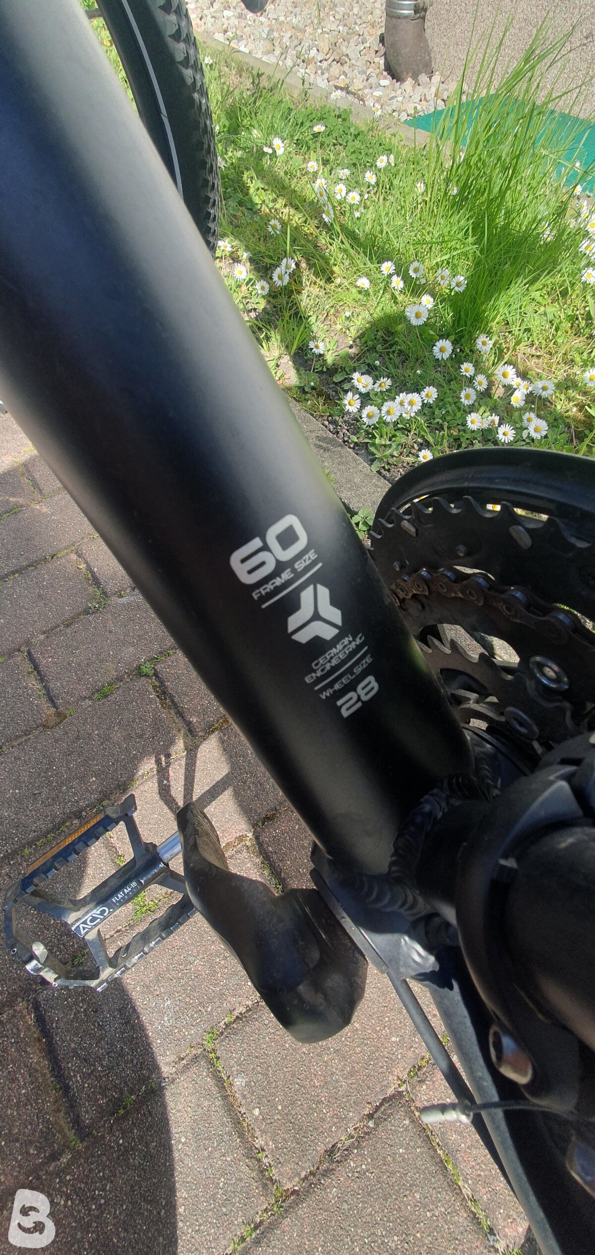 Carver 120 Cinos 2025