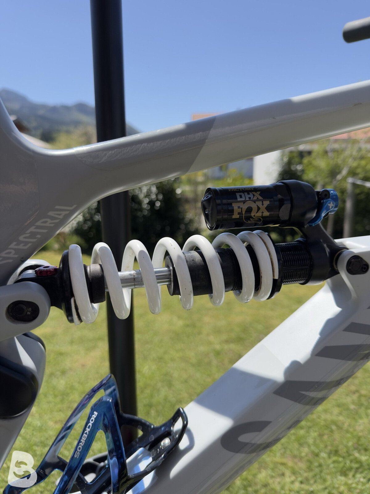 Canyon Spectral Mullet CF 8 2022