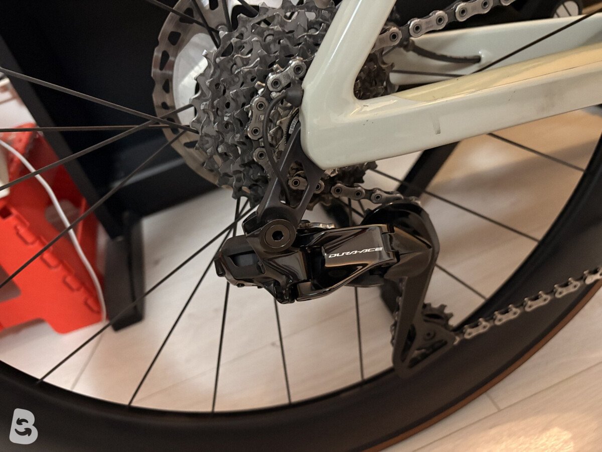Rose X06 lite 2025