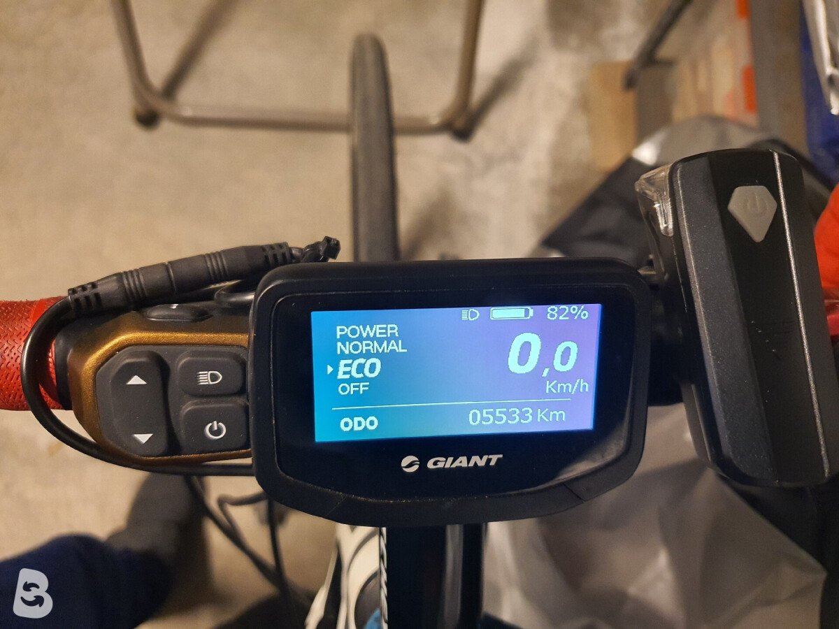 Giant road-e 2017