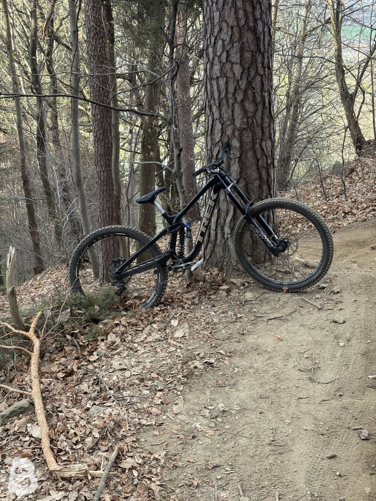 Trek Session 8 2021