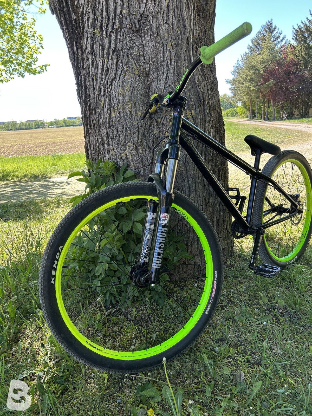 NS Bikes Metropolis