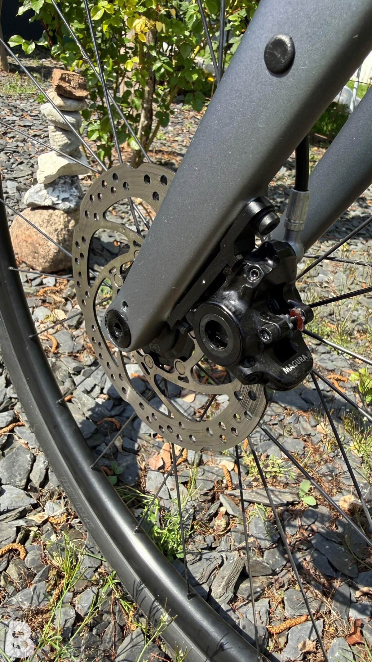 Specialized Diverge Expert E5 Evo 2021