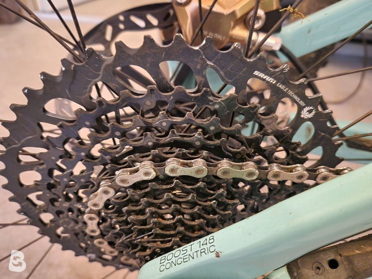 Orbea Rise M10 2022