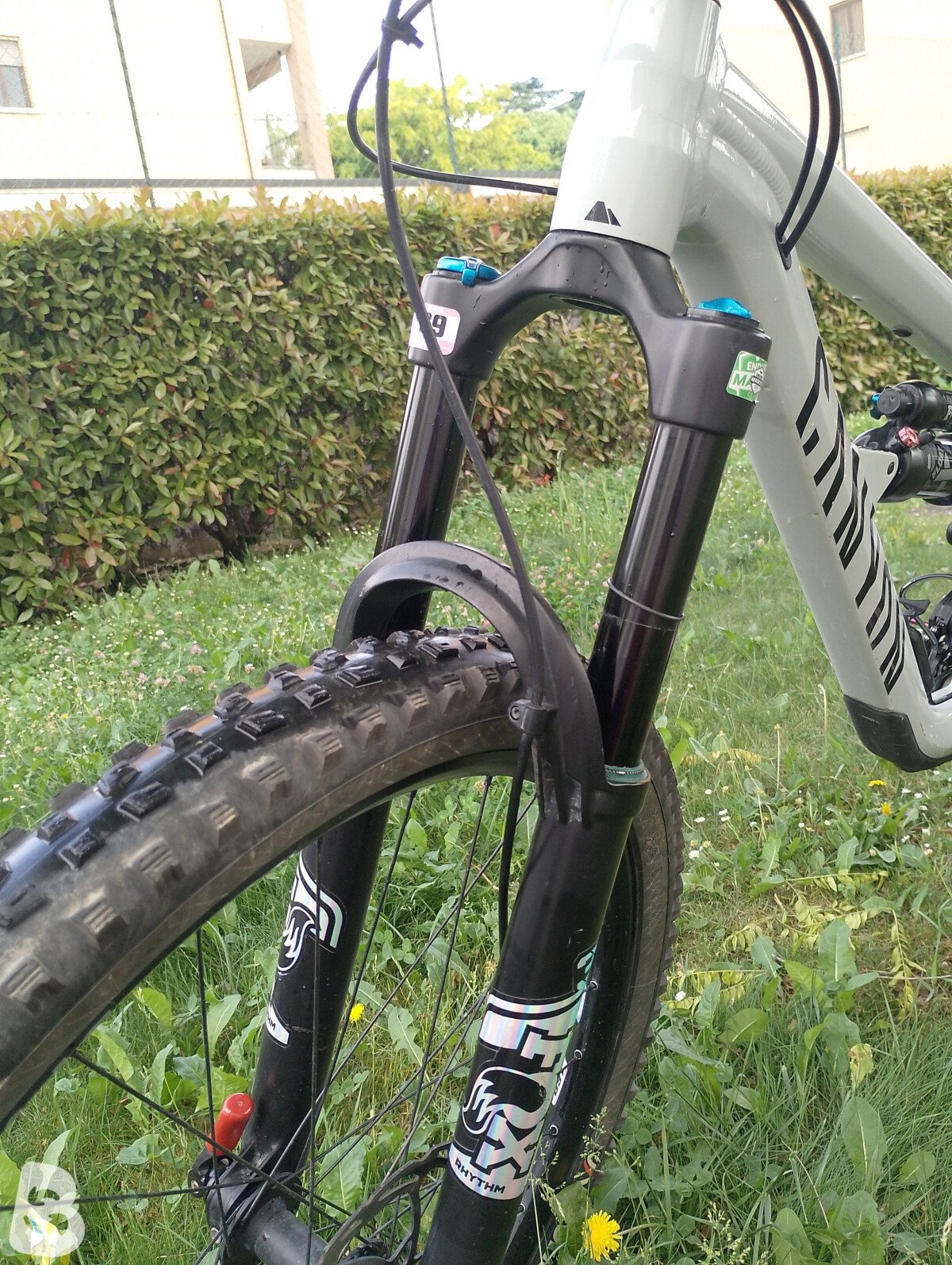 Canyon spectral AL 6 2024