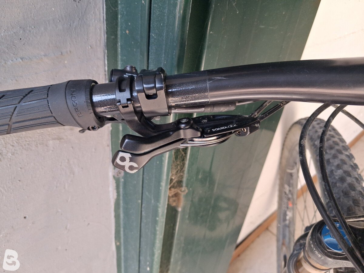 Orbea Oiz M-LTD 2020