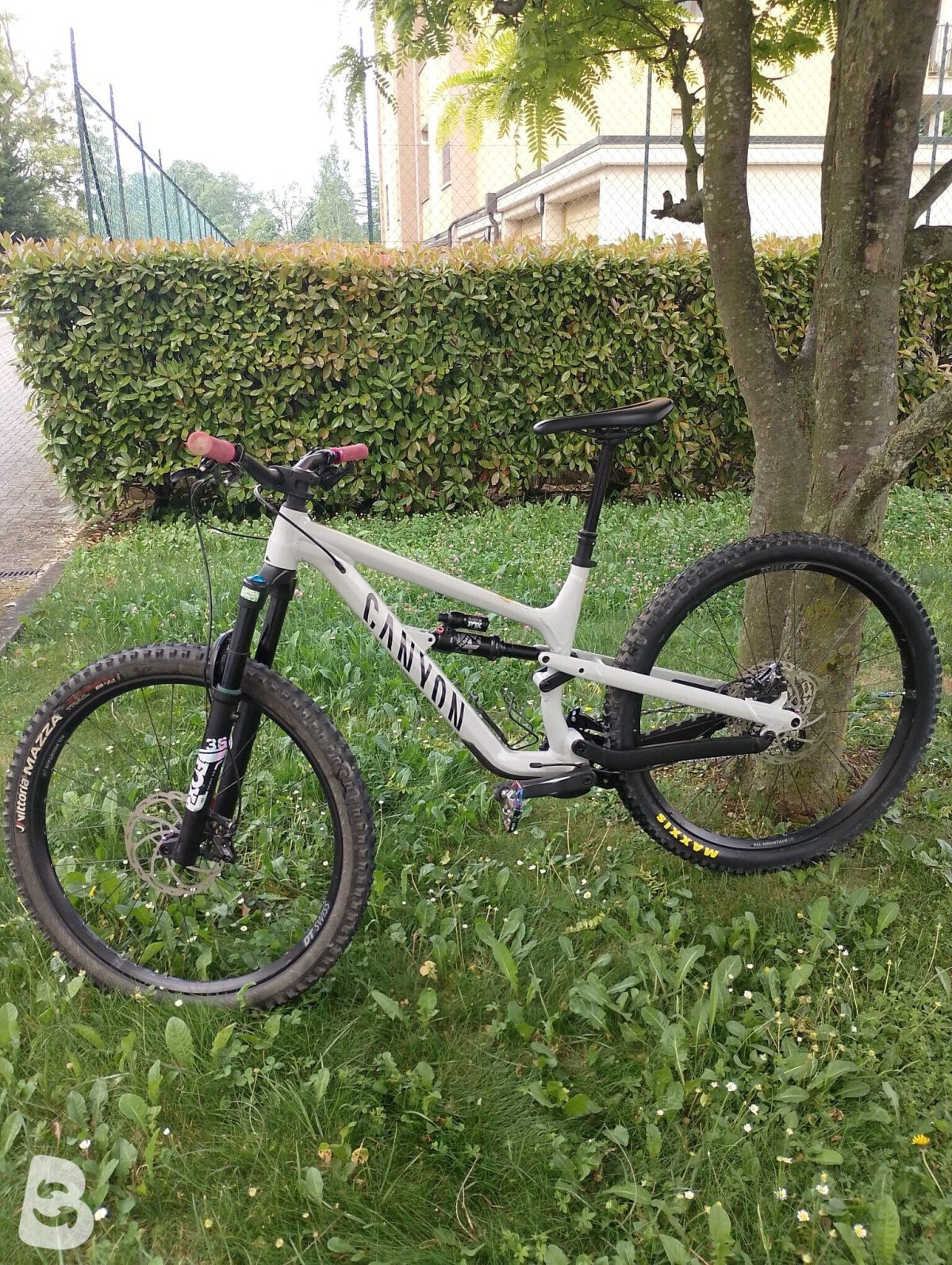 Canyon spectral AL 6 2024