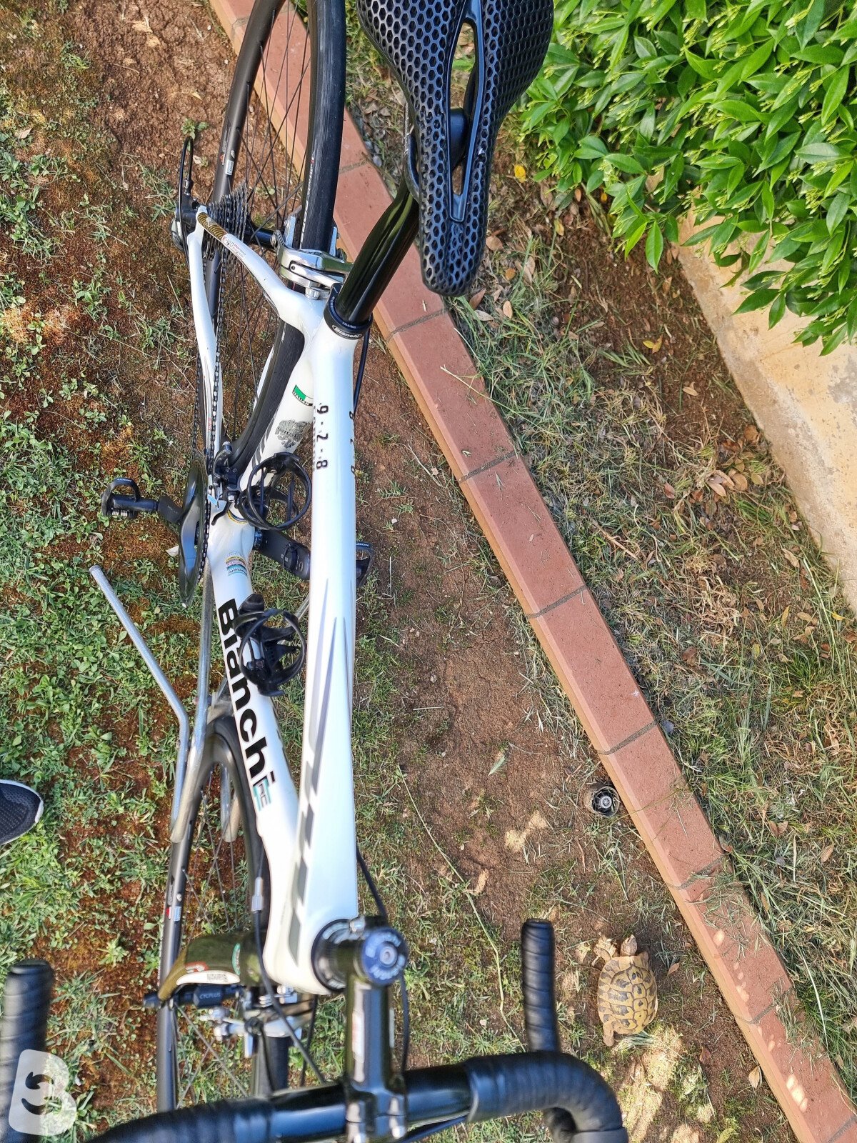 Bianchi C2C 928 Carbon 2011