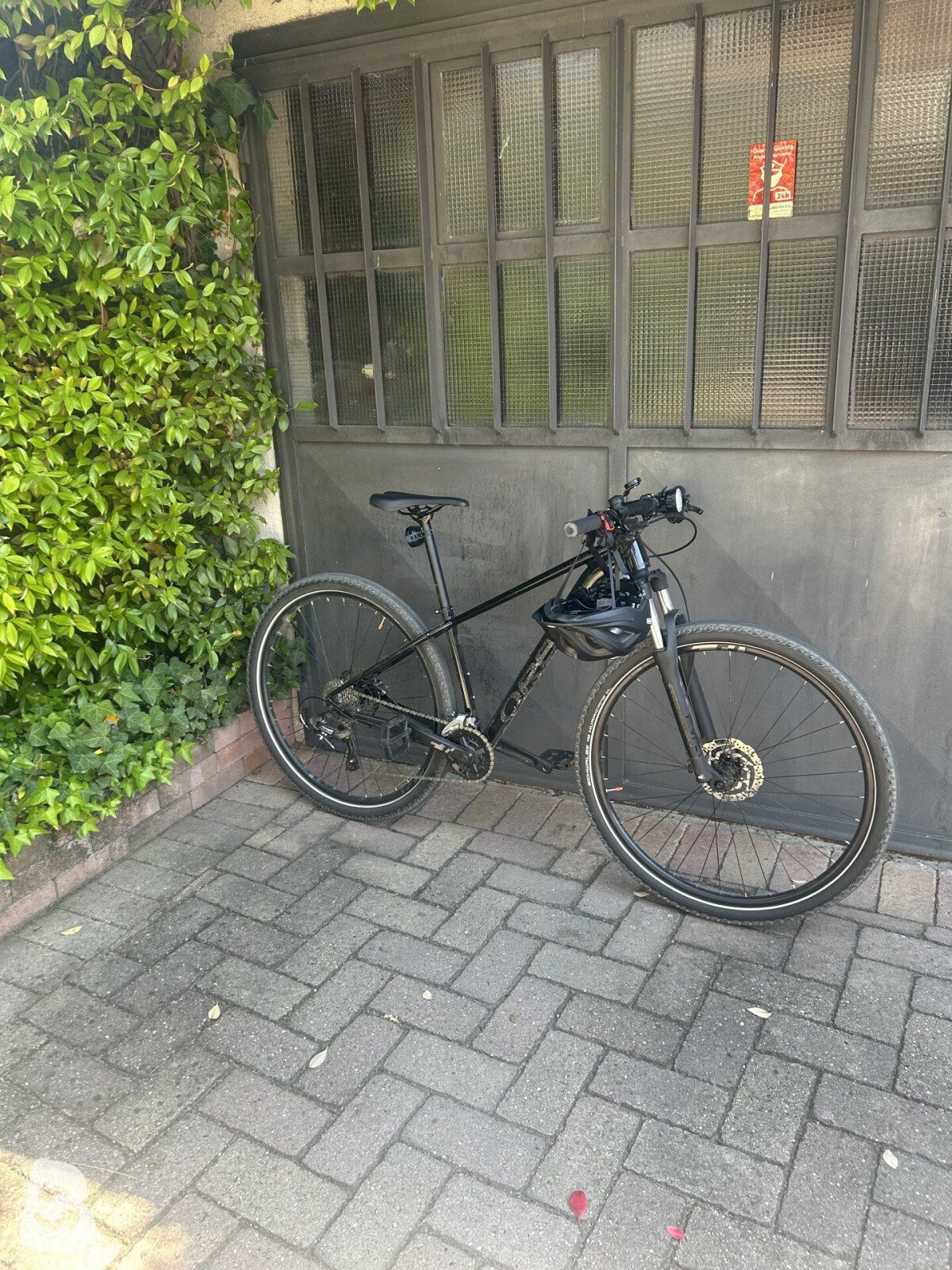 Orbea Onna 2026